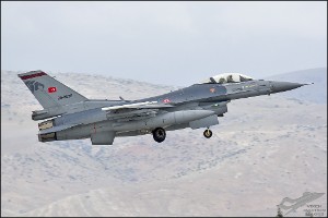D71_8169